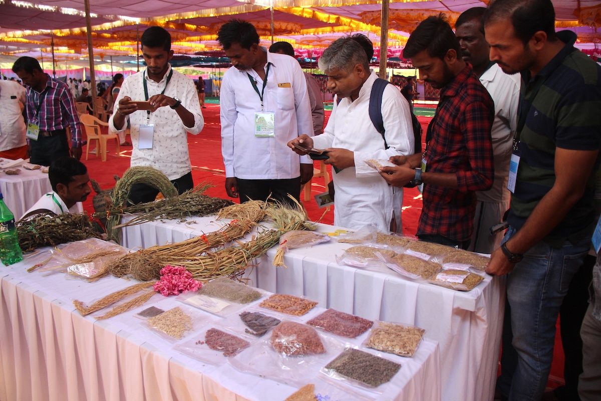 Beej Mahotsav organized To Connect Farmers And Exchange Knowledge About Desi Seed Varieties And How Growing It Can Be A Viable Busines